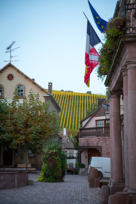 Riquewihr - 058